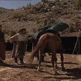 هذا الحصان له خياله #الزير_سالــم #كليب_بن_ربيعة #همام_بن_مرة 