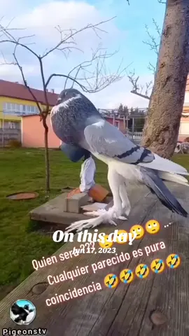 #onthisday 