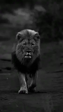 motivational speech | motivational video #motivationalspeech #motivationalvideo #motivationalquotes #motivation 