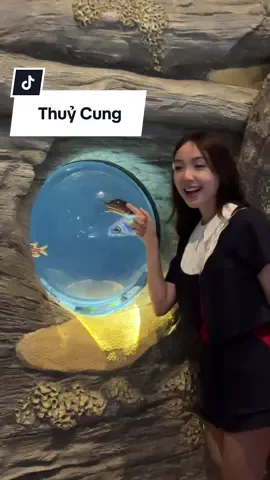 Đi đi các bác ơi đẹp lắm á #xuhuong #chutieuhan #thuycung 