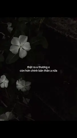 #GiaKiet👾 