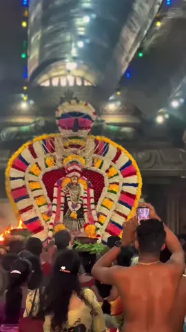 #sankavi🖤🦋👸🧿 #siddi #puram #kannakai #amman #9m#thiruvila #🧿 