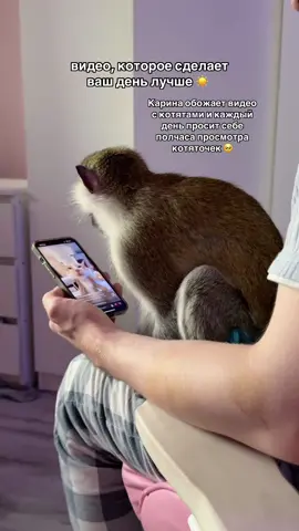 рек рек 