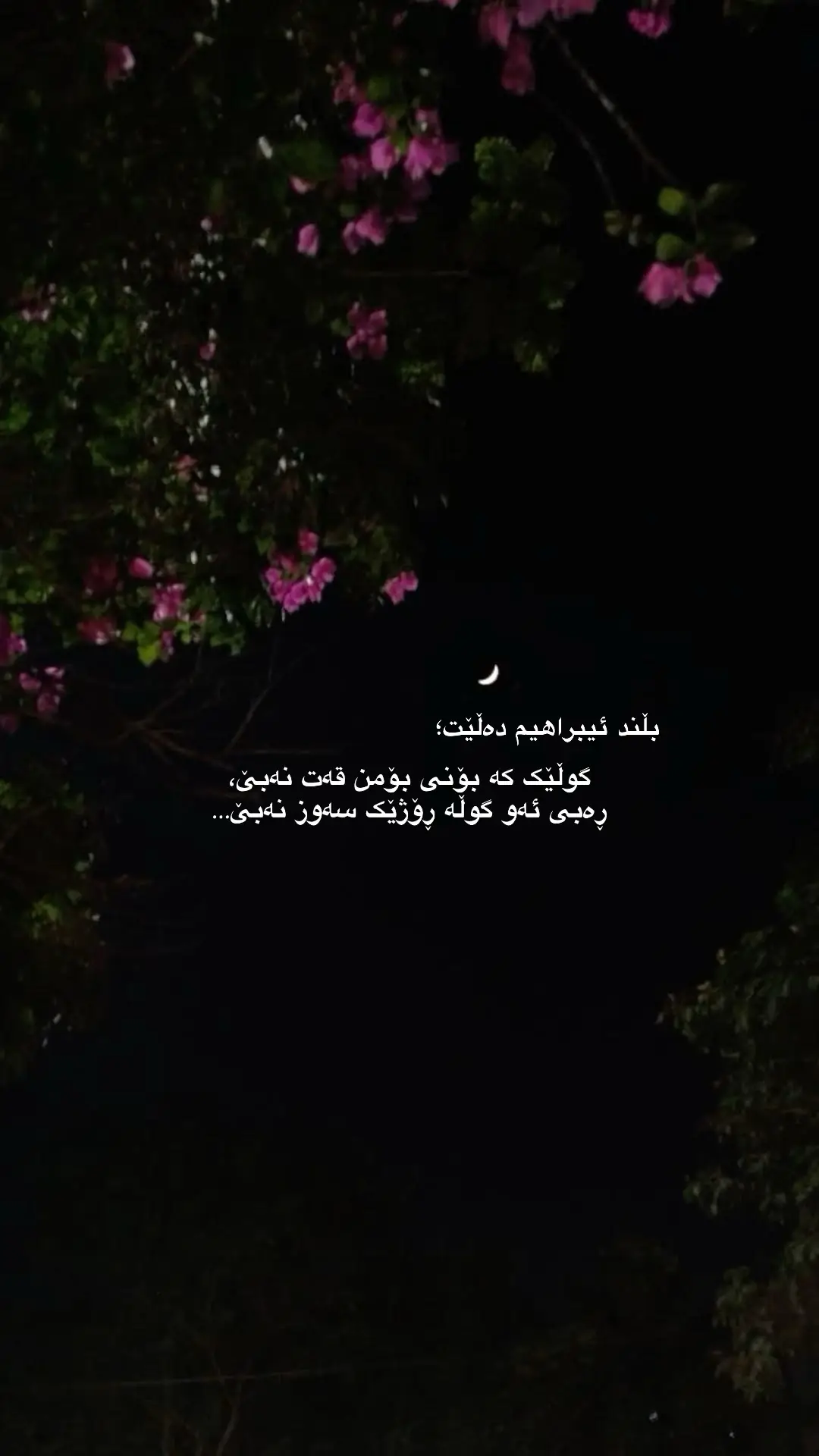 #foryou #tiktok #l4rree #rasty_lak #creatorsearchinsights #fyp #foryoupage #duo 