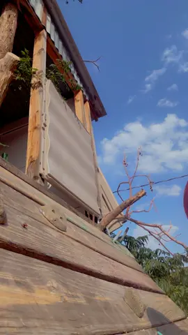 #treehouse #gardening #gardenersoftiktok #adulting