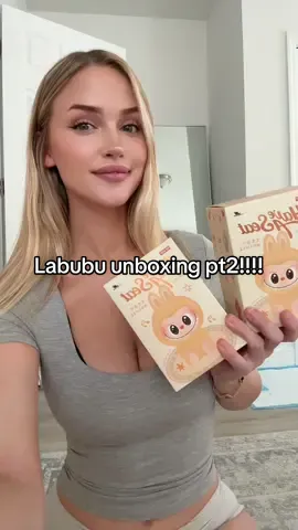I can’t stop #labubu #unboxing #haveaseat #thesecret 