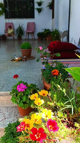 #عصريه #حلوة_بدون_مجهود #ورداتي🥺🌸💝 #صلو على النبي 🤍 #االله💚ياالله💚ياالله💚 #اللهم_ردنا_إليك_ردا_جميلا #ماشاءاللّٰه_سبحان_اللّٰه_💖 #ماشاءالله_تب
