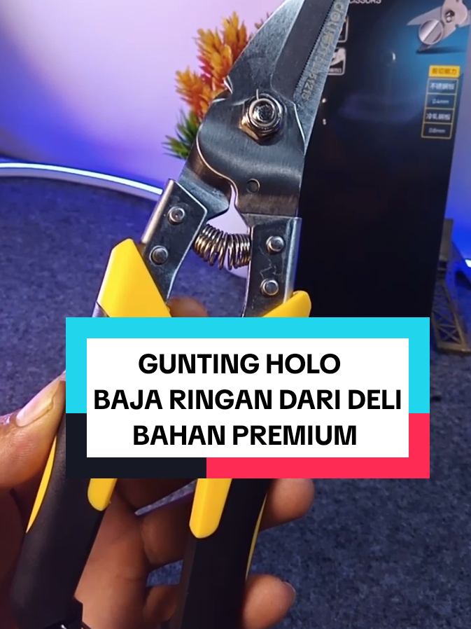 Gunting Holo Baja Ringan Dari Deli Harga Promo Bisa Langsung Ambil Dikeranjang #gunting #deli #delitools #guntingholo #guntingseng #guntingbajaringan #alatpotong #guntingpremium #30harireviewproduk #satukontentiaphari #cuantanpabatas 