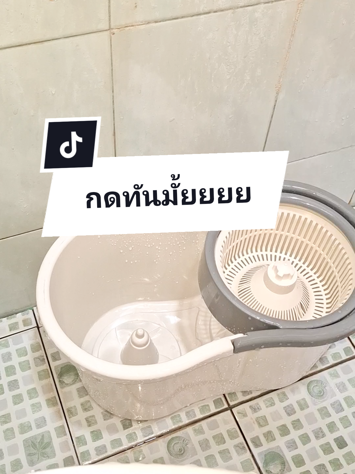 #ไม้ถูพื้น #ไม้ม็อบ #ถังปั่นไม้ม็อบถูพื้น #ถังปั่นพร้อมไม้ถู #ถังปั่นพร้อมไม้ถู #ถังปั่นพร้อมไม้ถู #ไม้ม็อบถูพื้น #ไม้ม็อบถูพื้น #ไม้ม็อบถูพื้น #ถังปั่นไม้ม็อบถูพื้น #ถังปั่นไม้ม็อบถูพื้น #ไม้ม็อบ #ไม้ม็อบ #ไม้ม็อบ #ถังปั่นไม้ม็อบถูพื้น #ถังปั่นพร้อมไม้ถู #ถังปั่นพร้อมไม้ถู #ถังปั่นไม้ม็อบถูพื้น 