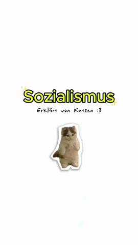 Sozialismus - erklärt von Katzen #cat #catanimation #wissen 