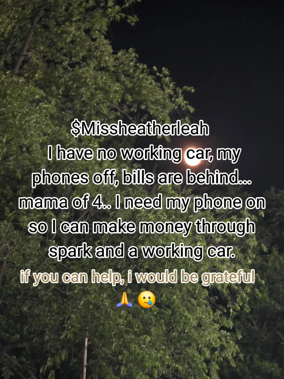 if you can help, it would be amazing,  and I'd be very grateful 🙏  cashapp $Missheatherleah  paypal heatherdavis141722  venmo HeatherrDaviss 