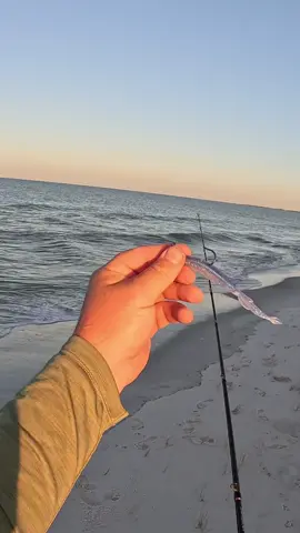 One of the BEST Fish you can catch from the BEACH!! #southernsalt #southernsaltbaitcompany #Outdoors #fishing #redfish 