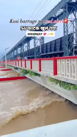 #Today_great_news #koshi #river #Red #alort #open #56door #open # #sadnews🌨️😭 #🇳🇵 /🇮🇳#foryoupage #trendingvideo #virallvideo # #growmyaccount #unfreezmyaccount #go_virall 