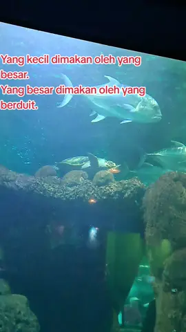 Ketika Hukum Sudah Lumpuh #berpikirmerdeka #fyp #f #fyourpage #perjalananhidup  #wayoflife #berpikirkritis 