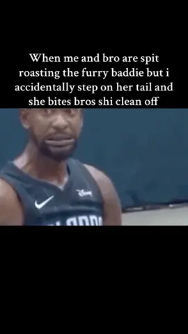 #giftok #gif #giftok2025 #funny #meme #relatable #furry #bro #hb #ts 