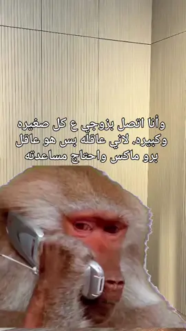 #الشعب_الصيني_ماله_حل😂😂 #monkeymemes 