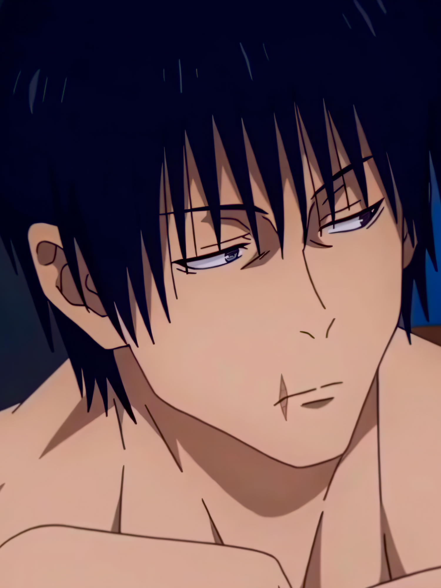 #toji #tojifushiguro #jujutsukaisen #karmasqd #anime