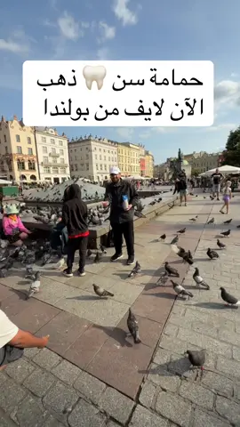 حمامة سن 🦷 ذهب  الآن لايف من بولندا #ليبيا #اكسبلور 