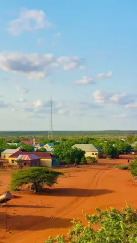 Daaruzalam❤️@malaga madaw🐈‍⬛ @HAYPe AHmETH MOhameTh🖤🕊️ @G͜͡A͜͡N͜͡4y͜͡o͜͡W͜͡w͜͡ 🇸🇱 @BULSHO🇸🇴🌷 @@kunboosh kumandoS6 #goat_apdalla #maaneed #daarusalam #foryoupage #video #fyp 