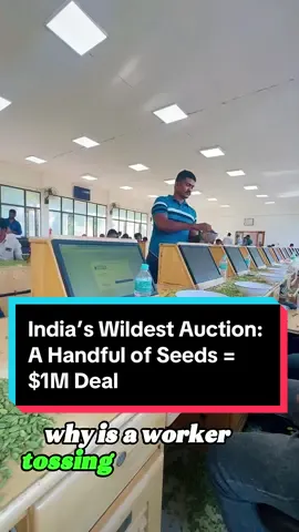 India’s Wildest Auction: A Handful of Seeds = $1M Deal#usa #us #usa🇺🇸 #knowledge #LearnOnTikTok #cardamom 