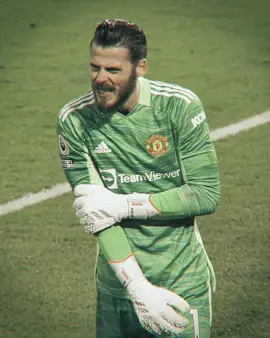 De Gea Was Class 🧤 🔥 #daviddegea #degea #manutd #manchesterunited #footballtiktok #onana #goviral 