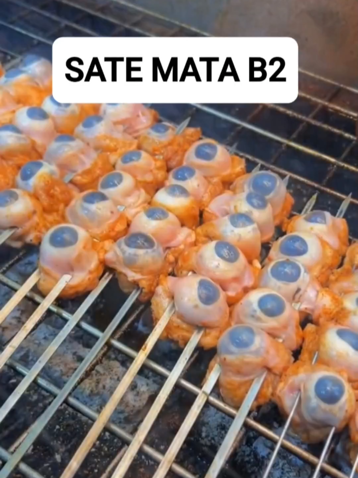 Sate paling unik yang terbuat dari bola babi #babi #kuliner #sate #ikanpredator #ikanmonster #mancing #memancing #hewanair