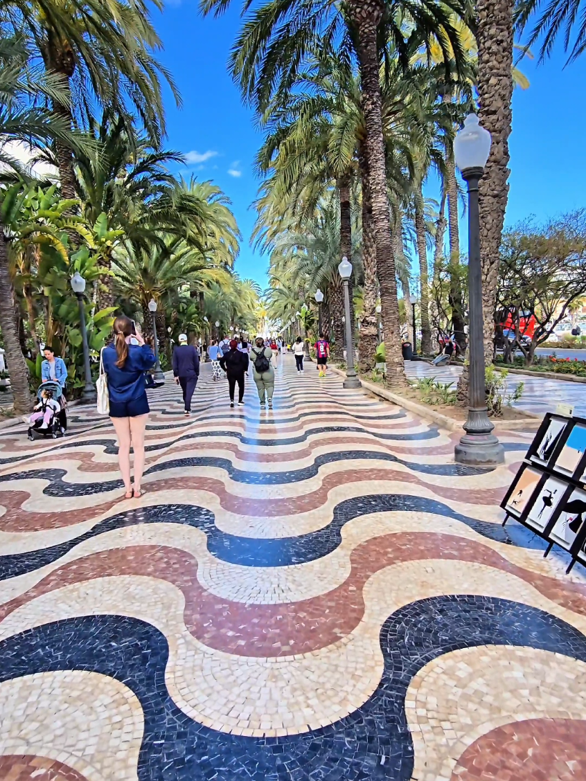 Alicante,Spain🌴🌞🌴🌞🌴 #alicantecity #sun #sea #spain #palmtrees #spain🇪🇸 #alicante🇪🇸 #spania #espagne🇪🇦 #visitspain #travelspain #spania🇪🇦 #espagne #alicante #f #fyp 