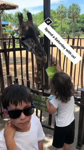 Spend a Saturday with us! #momtok#momlife#foryoupage#fypシ#boymom#viral#trending#houstontx#houstonzoo#zoo  