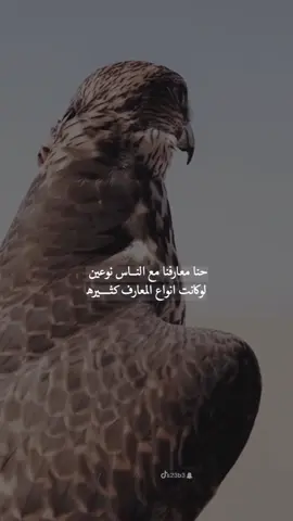 #ترندات_تيك_توك #تيك_توك #s23b3 #قصايد #لشاعرها #قصايد_شعر_خواطر #قصايد_شعر #اكسبلور #قصيد #شعر #تصاميمي #خواطر 