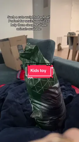 #flashsale #SPOTLIGHTFINDS #TikTokShopCreatorPicks #tiktokshopfinds #tiktokshoprestock  #tiktokshopfinds   #tiktokshoprestock #tiktokshopmemorialday #foryou #treasurefinds  #outdoorfun #weighted #weightedanimal #kidstoy 
