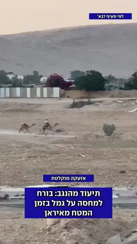 בזמן המטחים מאיראן: תושב הנגב תועד נמלט למחסה כשהוא רוכב על גמל #נגב #גמל #אזעקה 