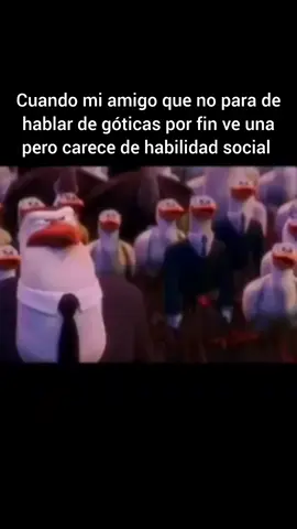 ahora si te agrado . . .  #fyp #memes #literalmente #memesespañol 
