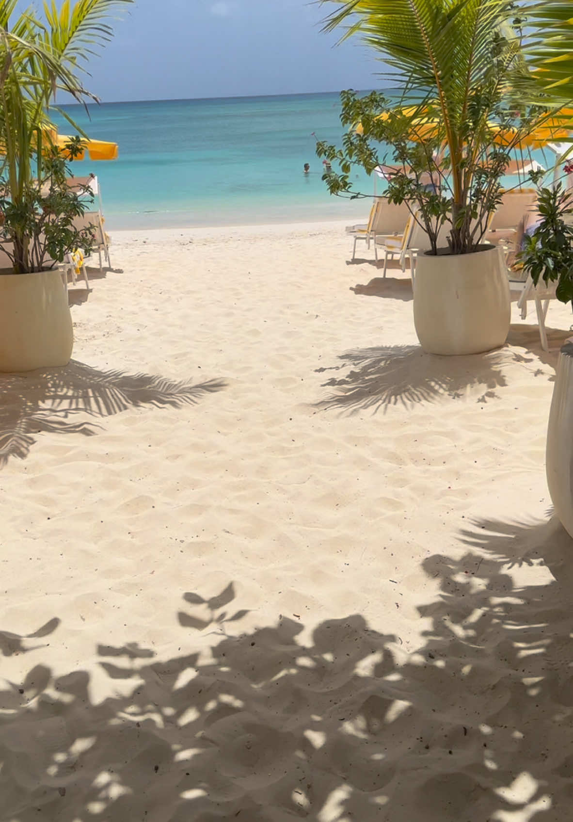 def a 10/10 trip #caymanislands #palmheights #vacay #travelwithme #fyp 