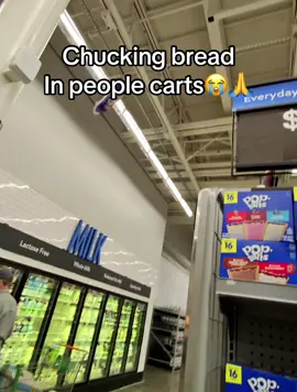 Trick shot😭🙏#prank #funny #fypシ #pov #bread #freewill 