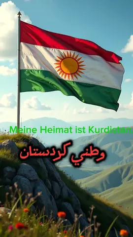 Kurdistan #kurdistan #كوردستان🇭🇺 #rojava #hawler #kurd #rojava #كوردستان #qamshlo #efrin #قامشلو #كورد 
