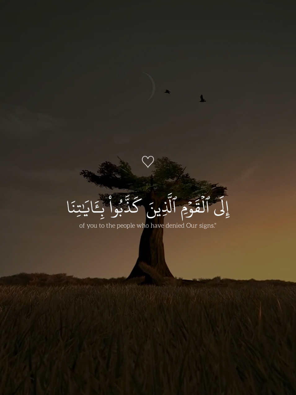 وَلَقَدْ آتَيْنَا مُوسَى الْكِتَابَ وَجَعَلْنَا مَعَهُ أَخَاهُ هَارُونَ وَزِيرًا﴾  #عبدالرحمن_مسعد #الفرقان  #راحة_نفسية🖤🎧 #عبدالرحمن_مسعد #راحة_نفسية🖤🎧 #راحة_نفسية🖤🎧 #عبدالرحمن_مسعد #عبدالرحمن_مسعد 