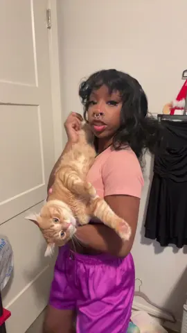 the fact he lets me hold him like this is crazy tho #fypシ゚viral #fyppppppppppppppppppppppp #viral #onnathecreator #cats #carsoftiktok #catsoftiktok #cheeto 
