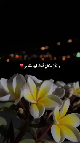 و كل مكان انت فيه مكاني🫶🏻✨#fypシ゚ #explore #اكسبلور #فوريو #foryoupage #for #الحبيب #روحي #ترند #trend 