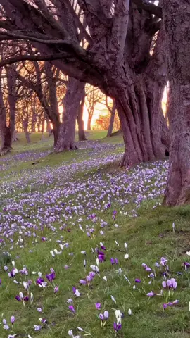 #quran #fyp #viral #foryoupage #foryou #تلاوة_خاشعة #قران #explore 