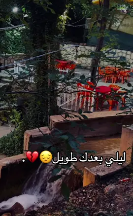 #من_وين_شفت_الفيديو #الانستا_في_البايو #ff 