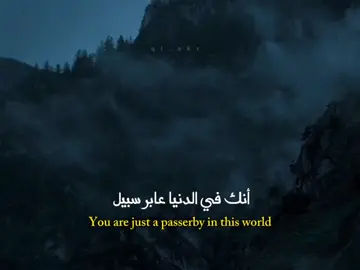 اعلم أنك في الدنيا عابر سبيل 🤍  #كلام_من_ذهب #ستوريات #اقتباسات #عبارات #fyp 