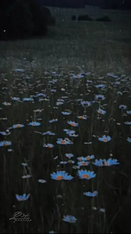 #CapCut #يارب،قد،فوضت،اليك،امري،فبشرني،بما،انتظره،وانت،خير،المبشرين 