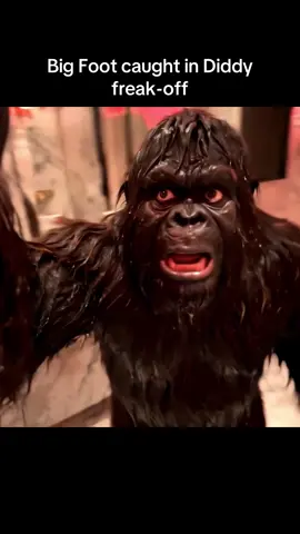 Follow for daily Big Foot content! #fyp #bigfoot #diddy #freakoff 