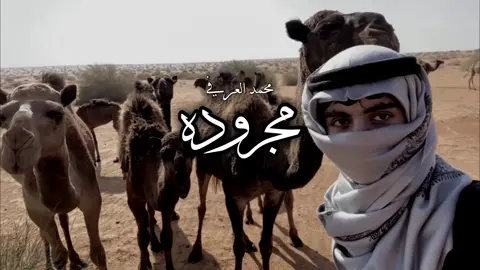 مجرودة:محمد العرفي  #شيفاز_المياسي 