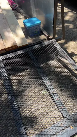 #foryou #viral #tiktok #elpatron #construction 