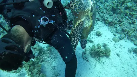 #underwater #diving #diver #underwaterphotography 