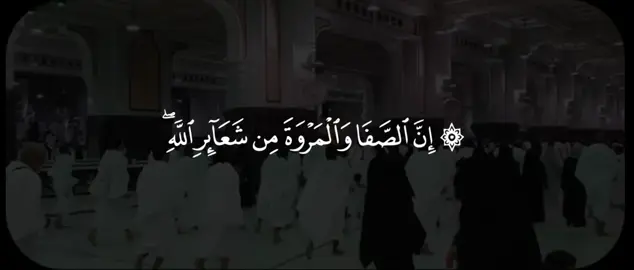 #مشاري_العفاسي #سورة_البقرة #قران #quran 