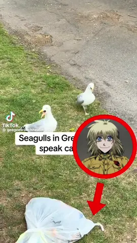 Seras #hellsingultimate #hellsing #serasvictoria #serasvictoriahellsing 