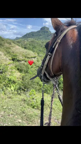 #paratii #cganaderia #viralvideos #paratodos ##flypシ #caballos @Potros Colombia 