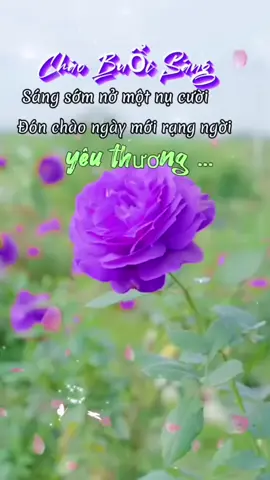 #kỷ niệm xưa #HuE #chaobuoisang #ngaymoivuive # Chào ngày mới vui vẻ đong đầy yêu thương ❤️🌹✌️